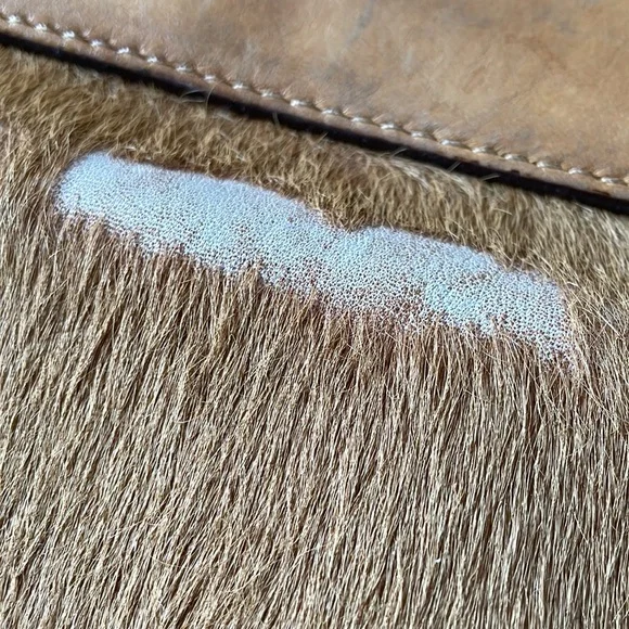 Loeffler Randall Camel Calfhair Crossbody Lock Bag - Picture 14 of 16